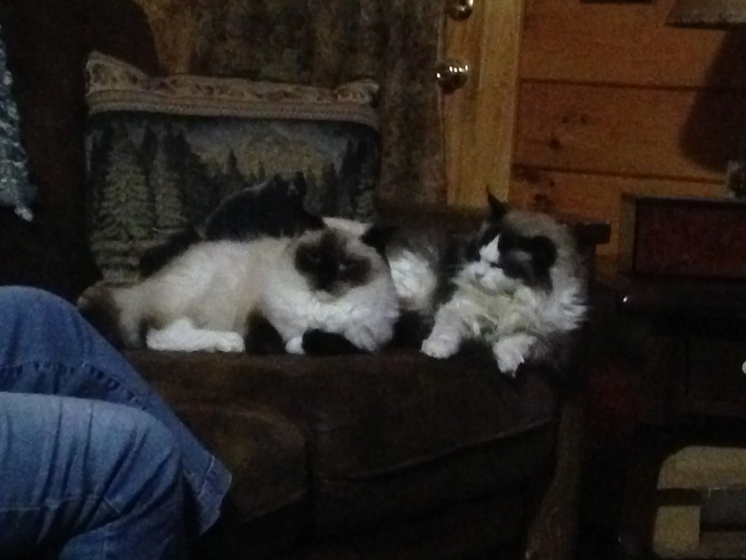 Bo and K.C.